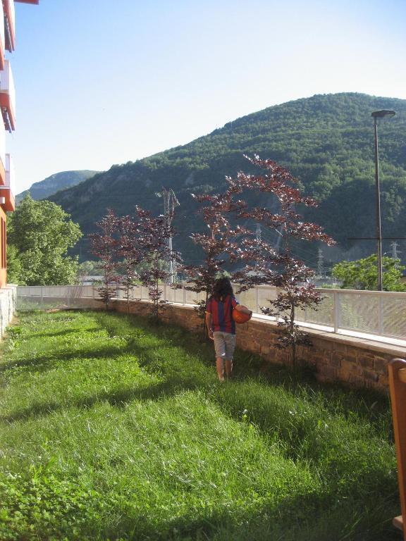 Apartamento La Faiada Pont de Suert Habitación foto